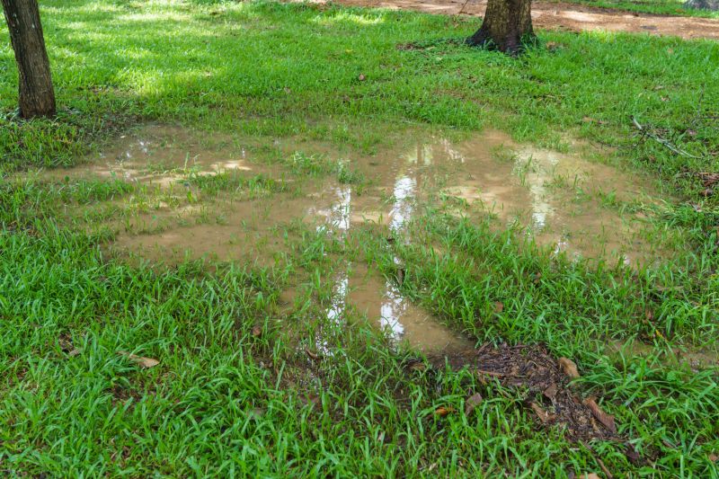 Rainwater Runoff Drainage